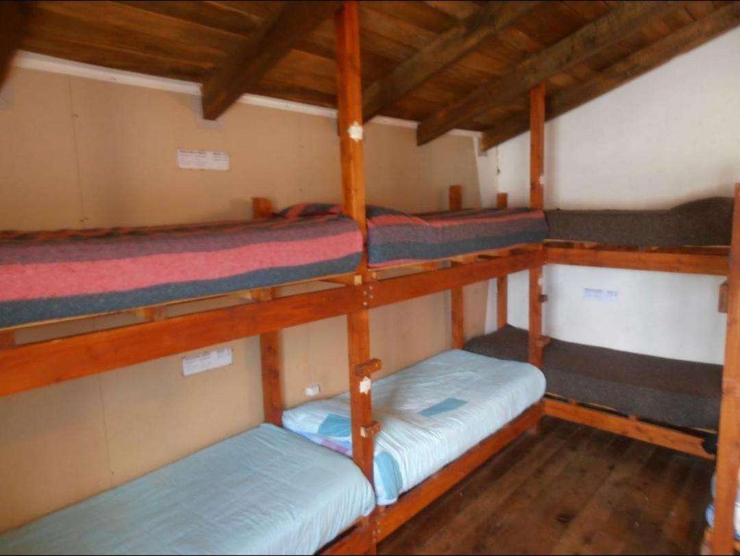 La Casa Del Arbol - Hostel El Bolsón Buitenkant foto